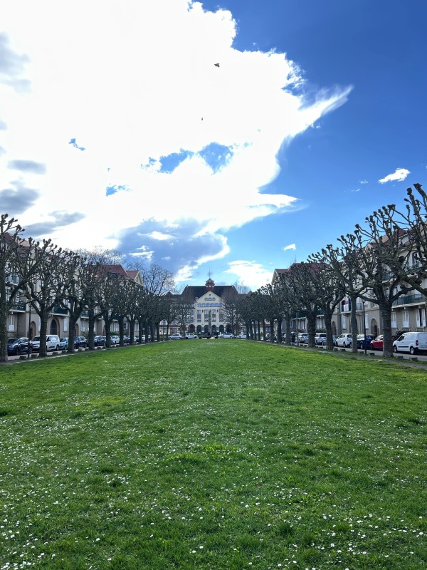 Estimer, Vendre et Acheter avec l'Agence Immobilière Selena Immo au Neudorf (67100) à Strasbourg