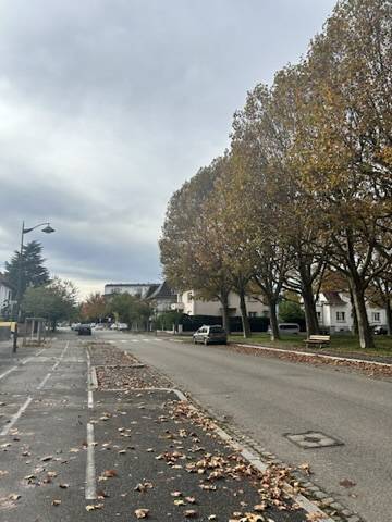 Estimer une maison de maître à rénover avec une agence immobilière à la Meinau Villa à Strasbourg ?